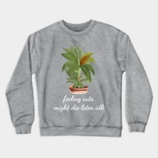 Feeling Cute Might Die Later IDK Cute Houseplant Monstera Crewneck Sweatshirt